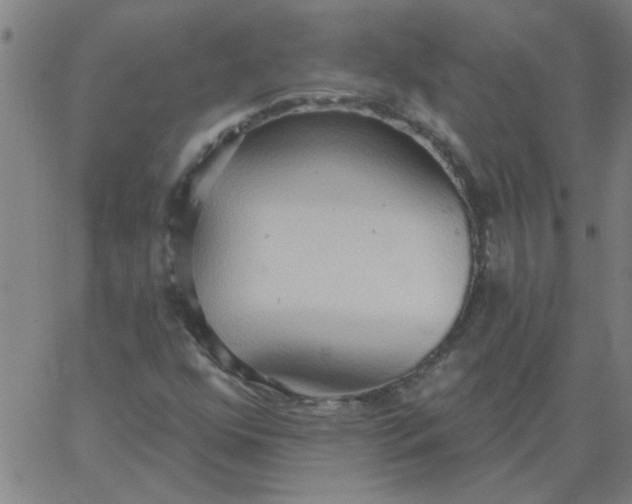 X0000067391352200604131921