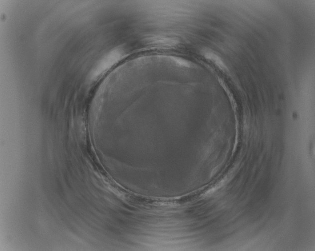 X0000067391354200604131921