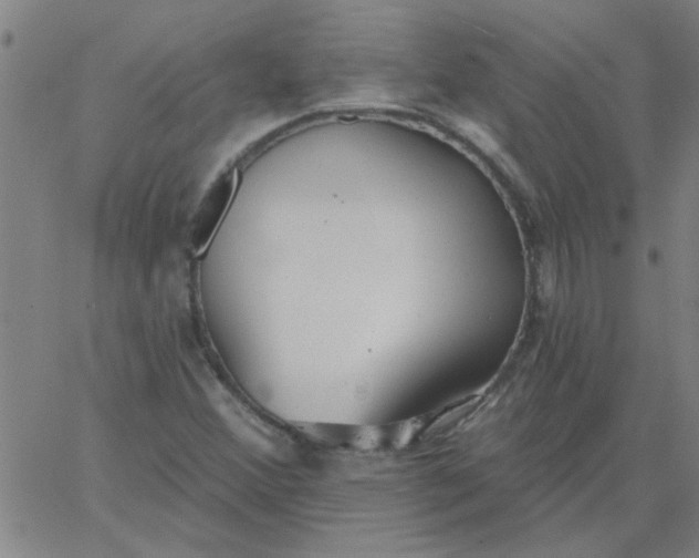 X0000067391356200604131921