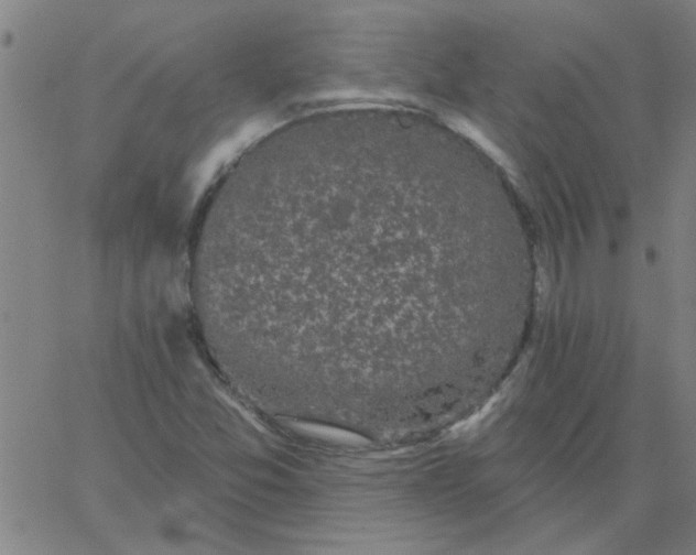 X0000067391357200604131921