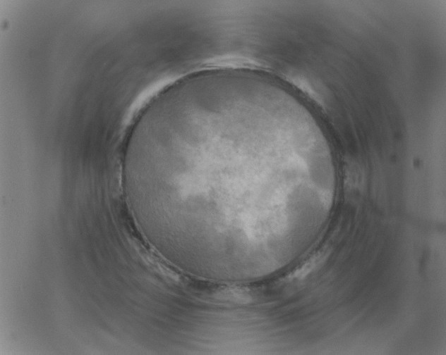 X0000067391358200604131921