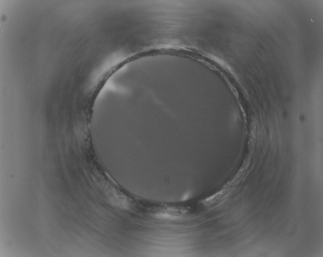 X0000067391359200604131921