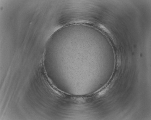 X0000067391361200604131921