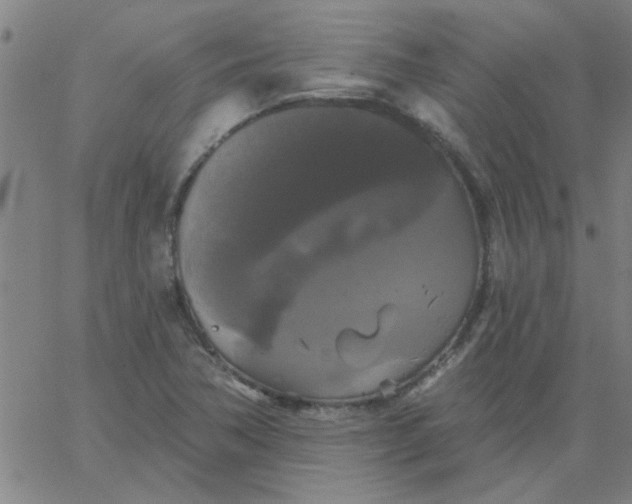 X0000067391362200604131921