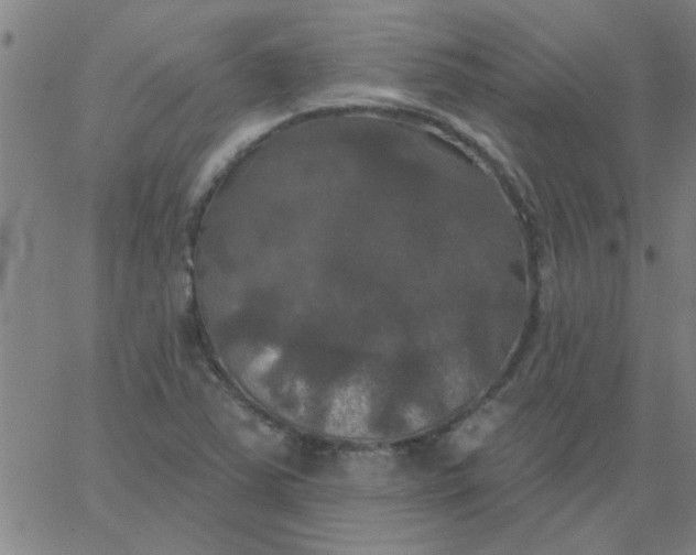 X0000067391363200604131921