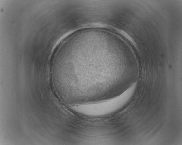 X0000067391364200604131921