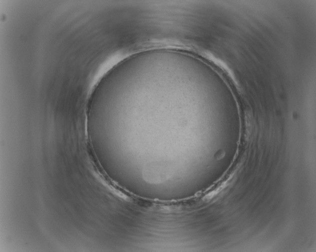 X0000067391365200604131921