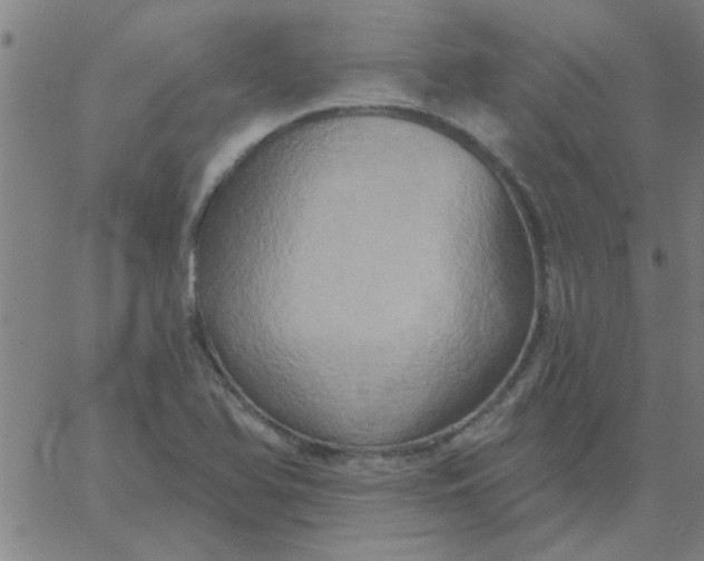 X0000067391366200604131921