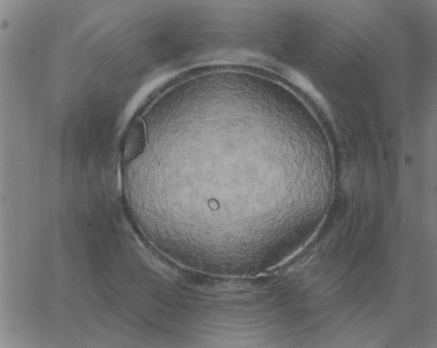 X0000067391368200604131921