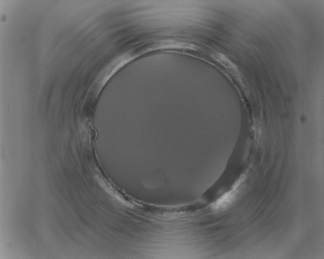 X0000067391369200604131921