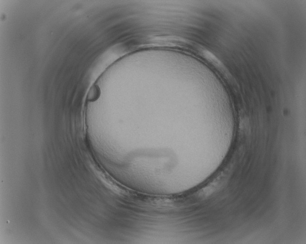 X0000067391370200604131921