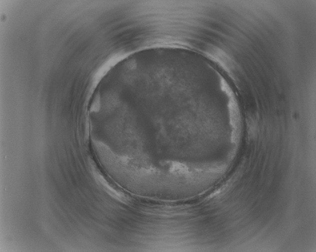 X0000067391371200604131921