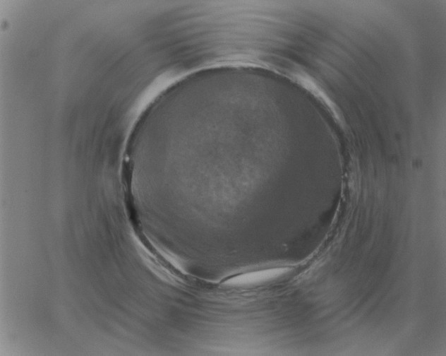 X0000067391372200604131921