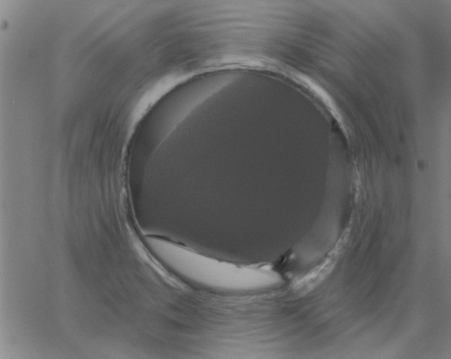 X0000067391373200604131921