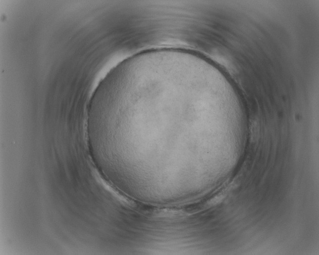 X0000067391374200604131921