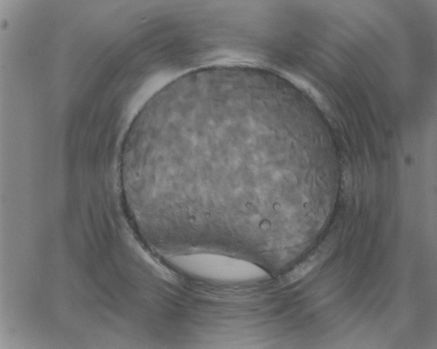 X0000067391375200604131921