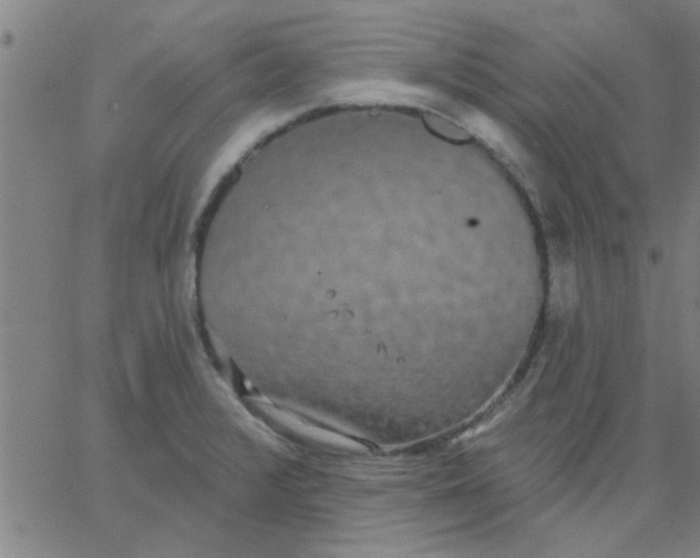 X0000067391376200604131921