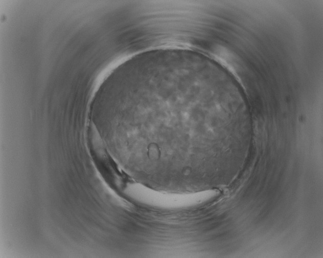 X0000067391379200604131921