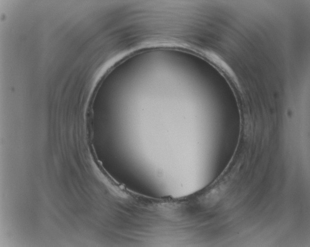 X0000067391380200604131921