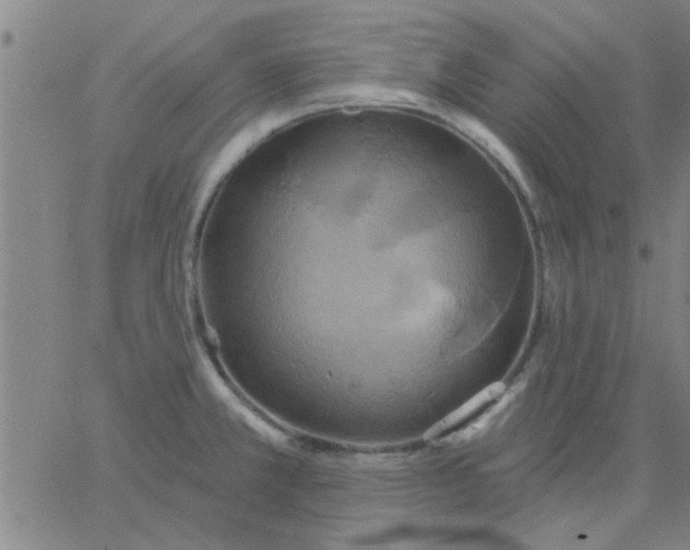 X0000067391381200604131921