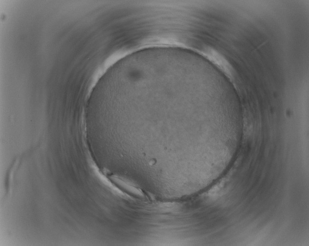 X0000067391382200604131921