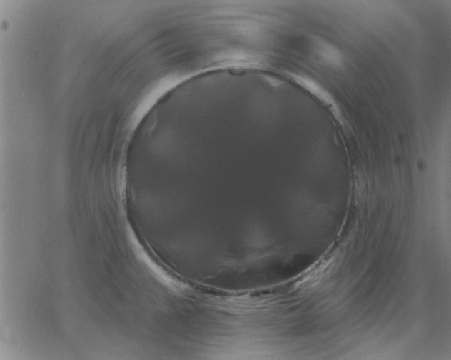 X0000067391383200604131921