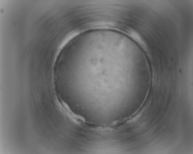 X0000067391384200604131921