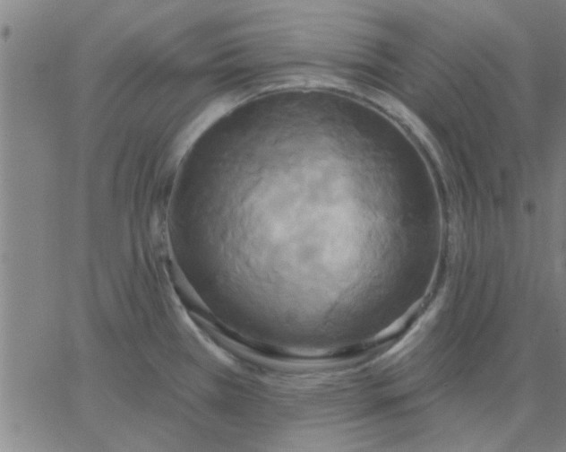 X0000067391385200604131921