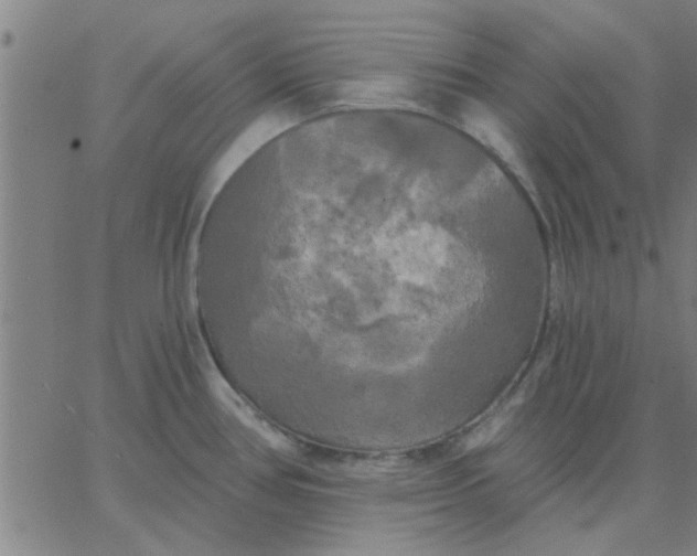 X0000067391386200604131921