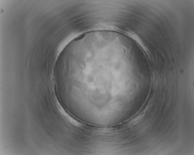 X0000067391387200604131921