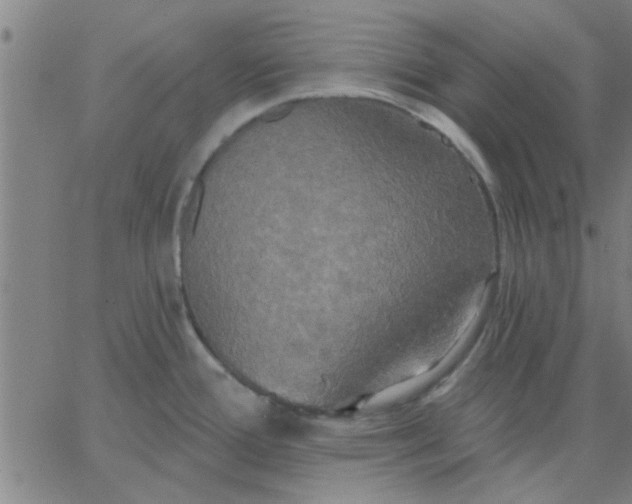 X0000067391388200604131921