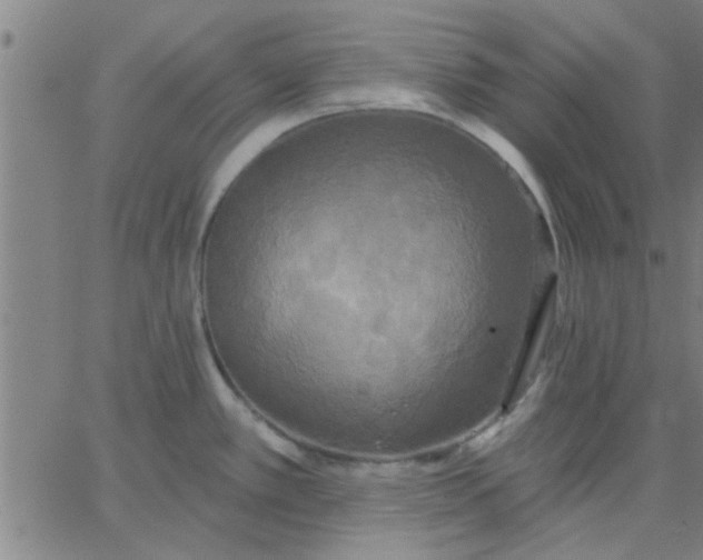 X0000067391389200604131921