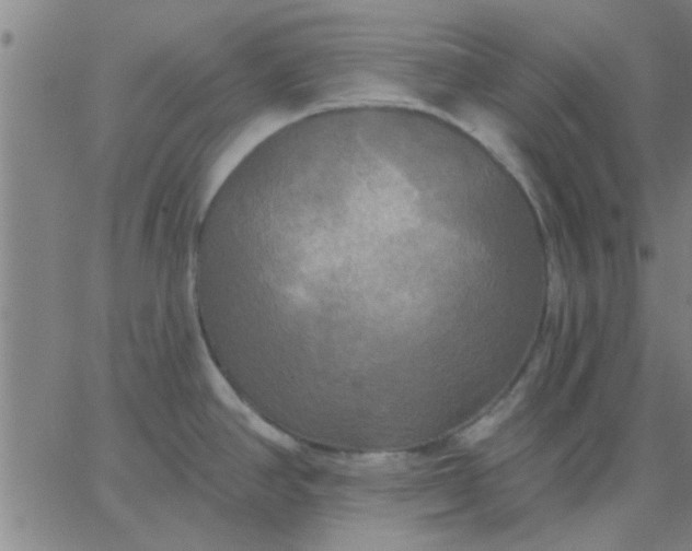 X0000067391390200604131921