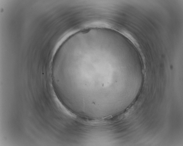 X0000067391392200604131920