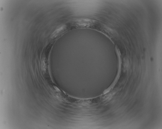 X0000067391394200604131920