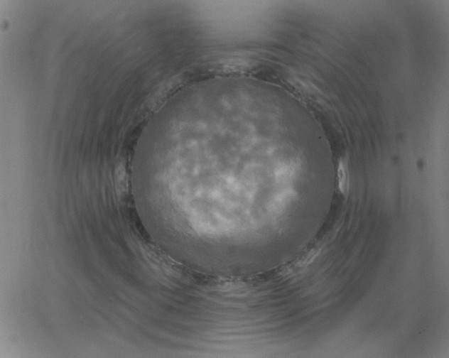 X0000067391395200604131920