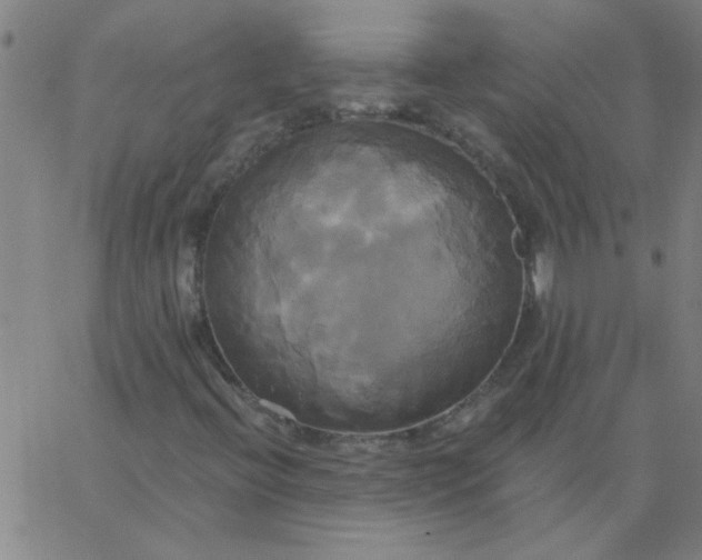 X0000067391396200604131920