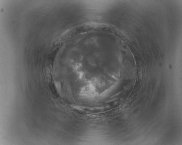 X0000067391397200604131920