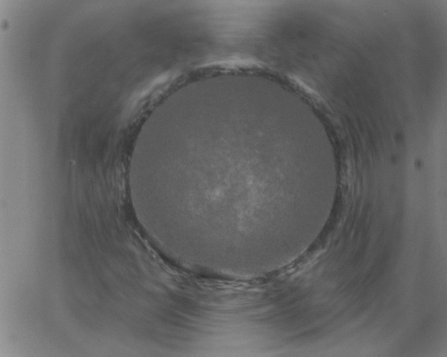 X0000067391398200604131920