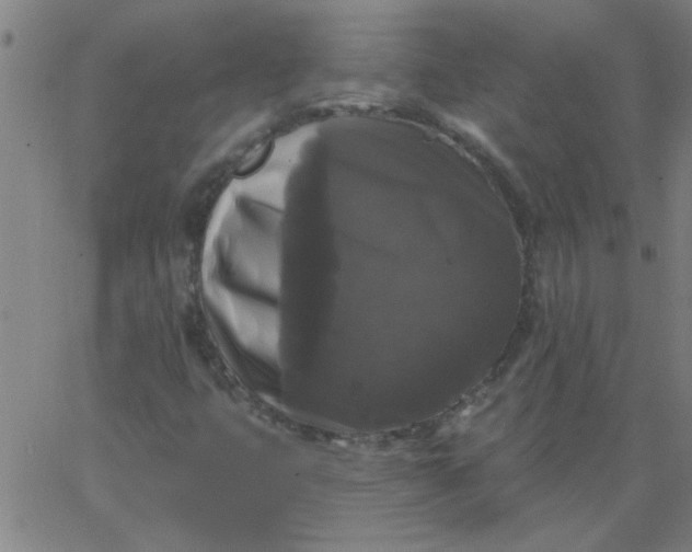 X0000067391399200604131920