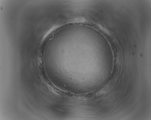 X0000067391400200604131920