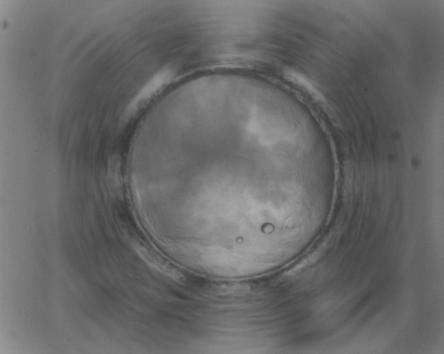 X0000067391403200604131920