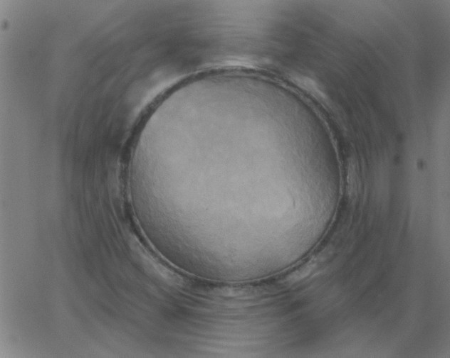 X0000067391404200604131920