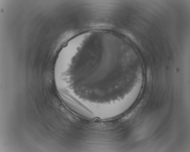 X0000067391405200604131920