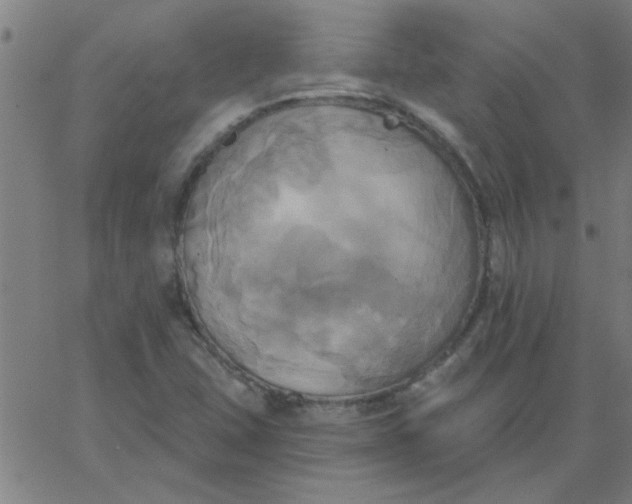 X0000067391407200604131920