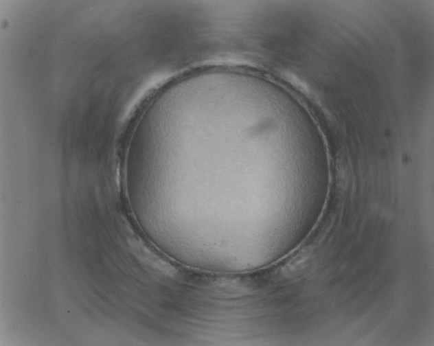 X0000067391408200604131920