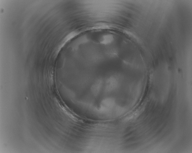 X0000067391409200604131920