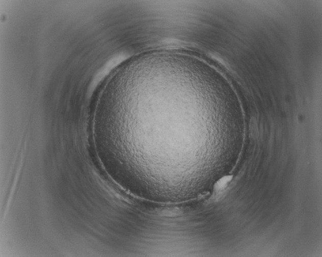 X0000067391410200604131920