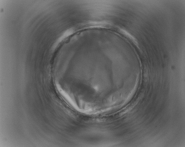 X0000067391411200604131920