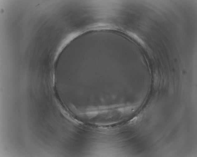 X0000067391413200604131920